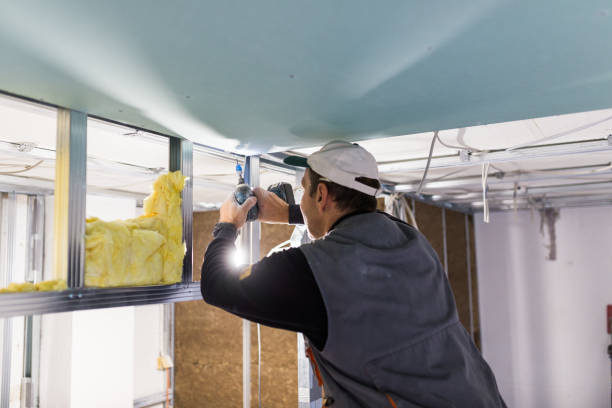 Best Spray Foam Insulation in The Meadows, FL