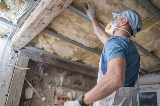 Best Commercial Insulation in The Meadows, FL
