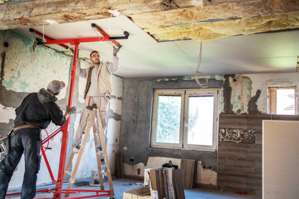 Best Specialized Insulation Services in The Meadows, FL