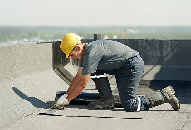 Best DIY Insulation Kits and Guidance in The Meadows, FL