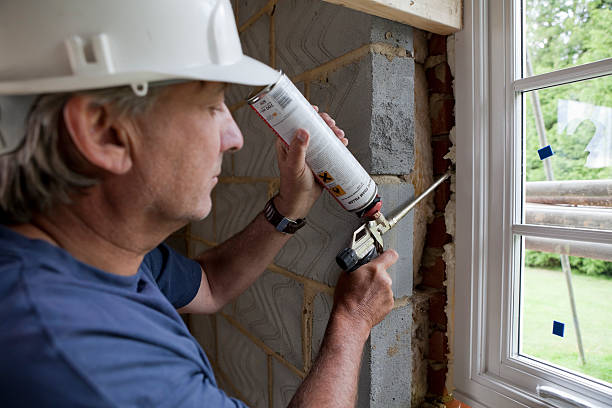 Best Geographic-Specific Insulation Services in The Meadows, FL