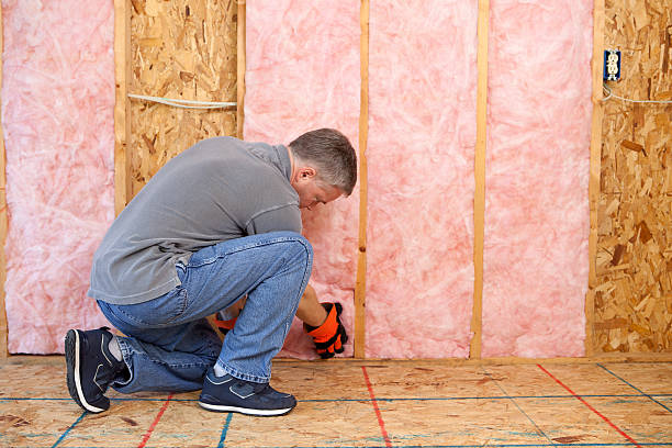 Types of Insulation We Offer in The Meadows, FL