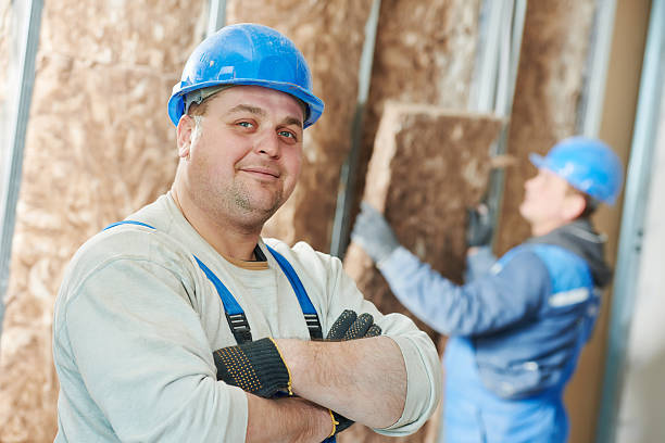 Best Energy Efficiency Insulation in The Meadows, FL