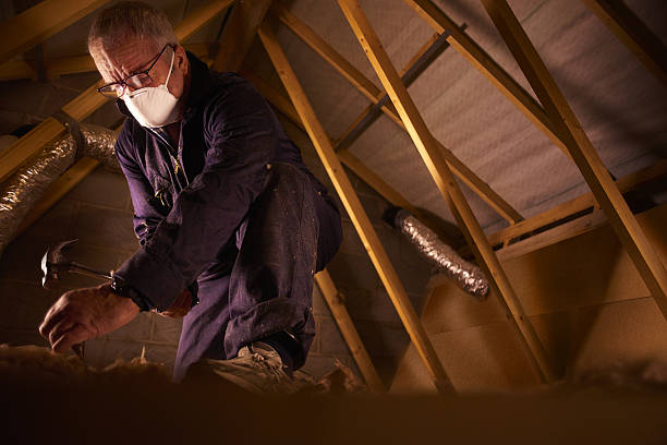 Best Fiberglass Insulation in The Meadows, FL